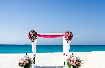 A Dreamy Celebration: The Allure of Beach Weddings